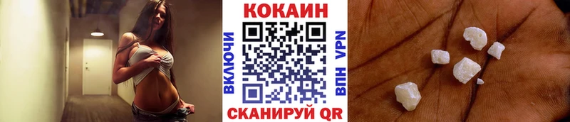 Купить где Саров КОКАИН Fish Scale