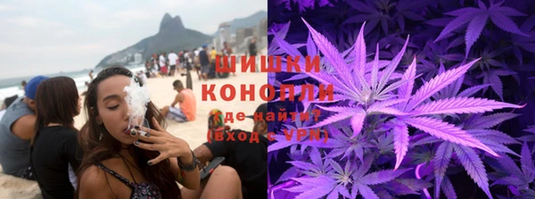 apvp Богданович