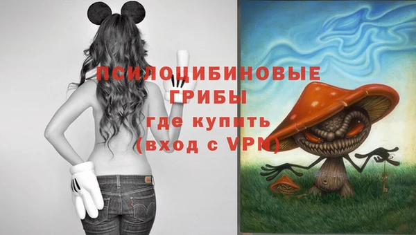 mdma Приозерск
