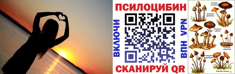 Купить  Саров  Галлюциногенные грибы прущие грибы 
