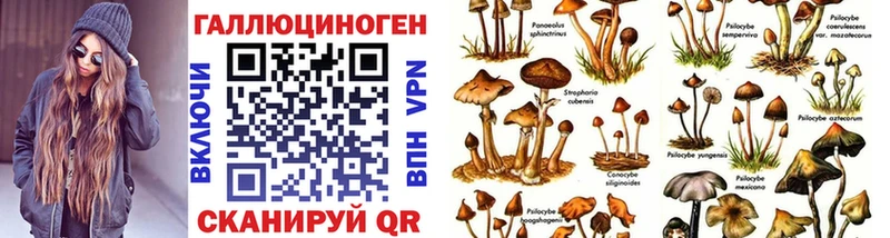 Псилоцибиновые грибы Magic Shrooms Саров